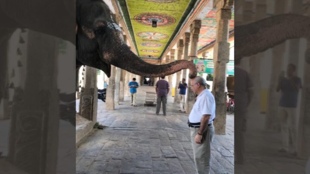 Manny blessed by the elephant Mungulum